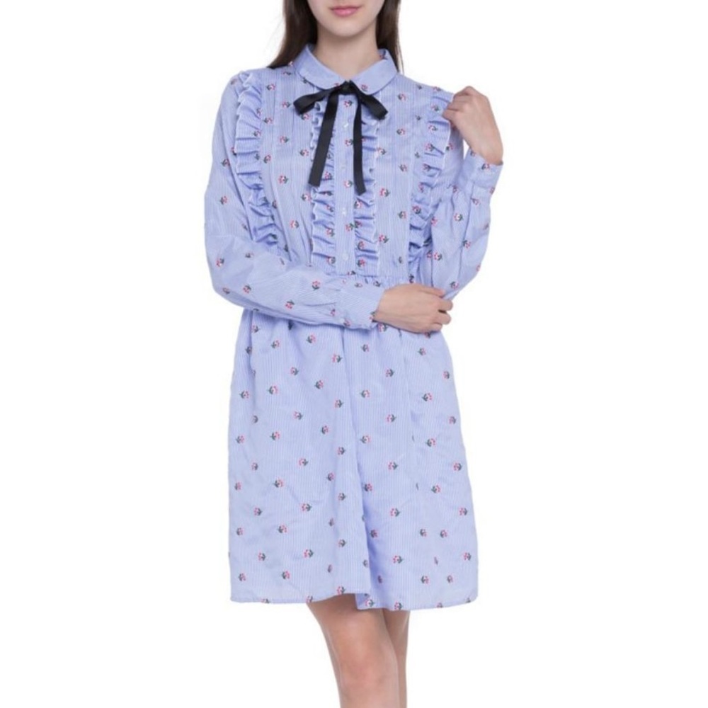 NWT English Factory Ruffle Embroidery Dress